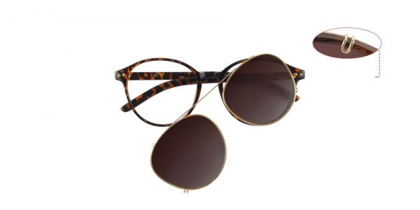 Sanger Round Prescription Glasses - Tortoise